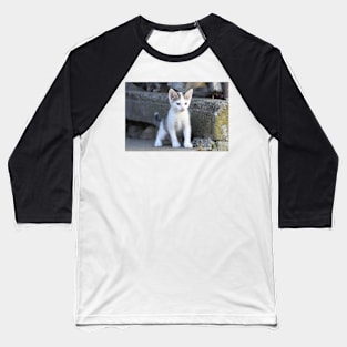 Kitty IV Baseball T-Shirt